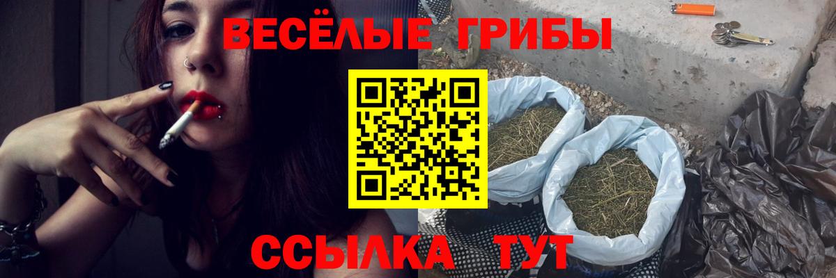 Псилоцибиновые грибы мицелий  Вход с VPN  Сокол 